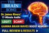 The Brain Song Reviews 2026: Does This 17-Minute Audio Trick Really Work or Is It a Scam?