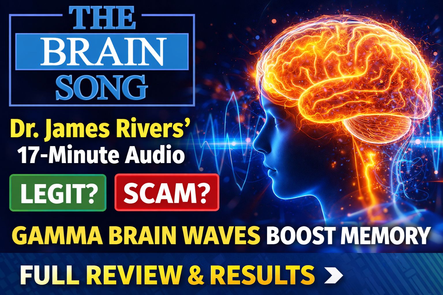 the brain song reviews