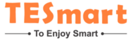 TESmart