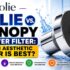 Jolie Replacement Filter Cost: Subscription vs. One-Time Purchase